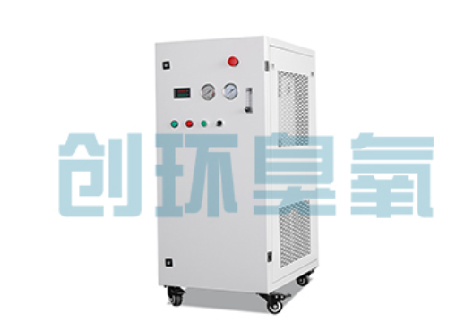 云浮石斑鱼养殖水质调控完整指南：臭氧发生器配置与操作步骤