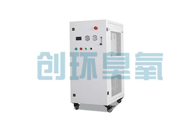 云浮比传统换水更高效？臭氧发生器在石斑鱼养殖中的水质净化原理解析