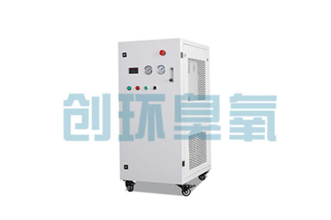 云浮比传统换水更高效?臭氧发生器在石斑鱼养殖中的水质净化原理解析